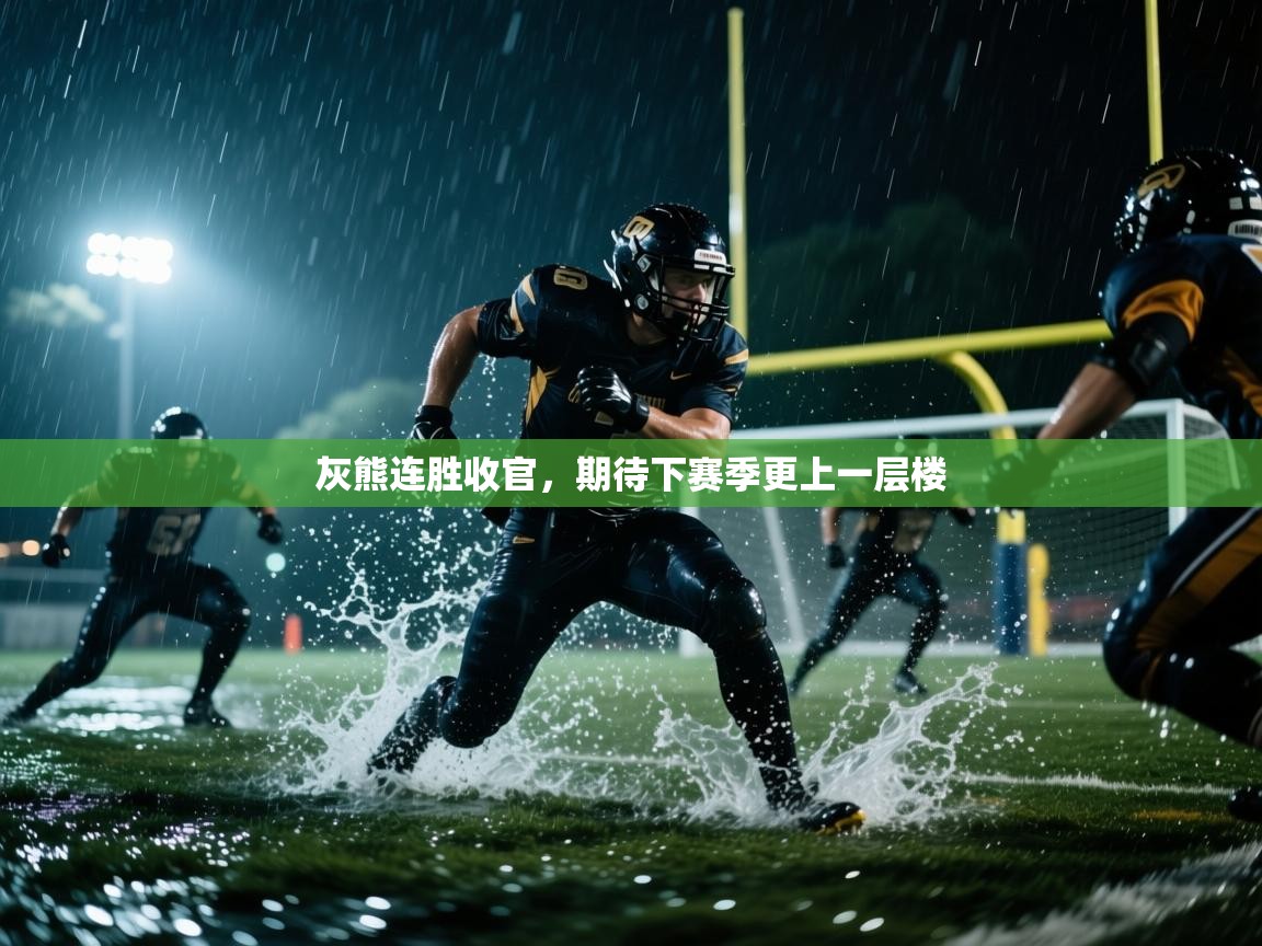 灰熊连胜收官，期待下赛季更上一层楼  第1张