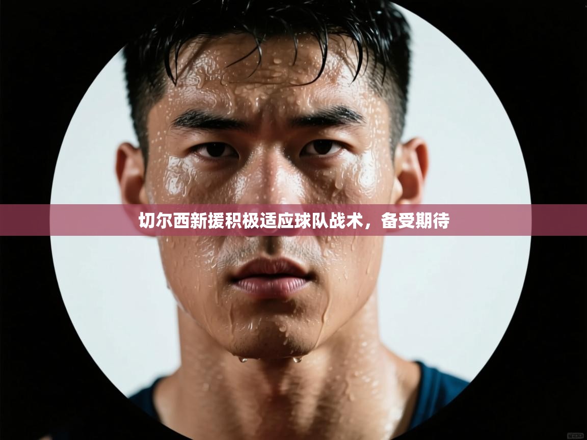 切尔西新援积极适应球队战术，备受期待  第1张