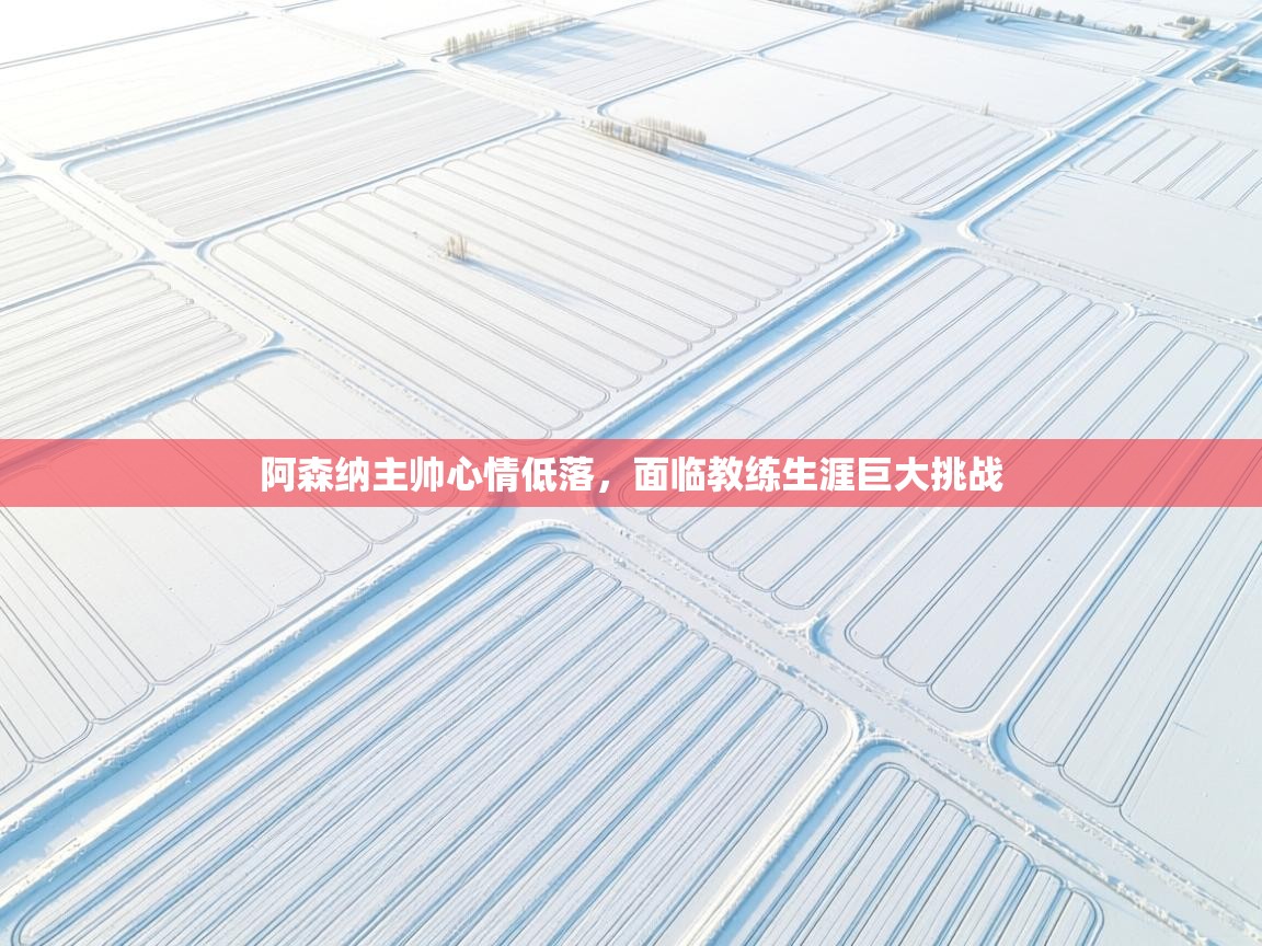 阿森纳主帅心情低落，面临教练生涯巨大挑战  第2张